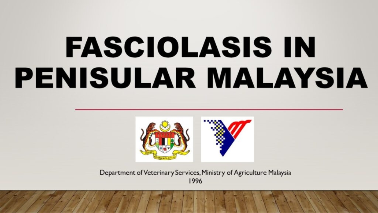 FASCIOLASIS-IN-PENISULAR-MALAYSIA-PIC-1024x576